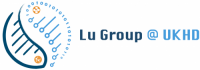 Welcome to Lu Group